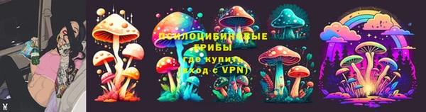 ешки Богданович